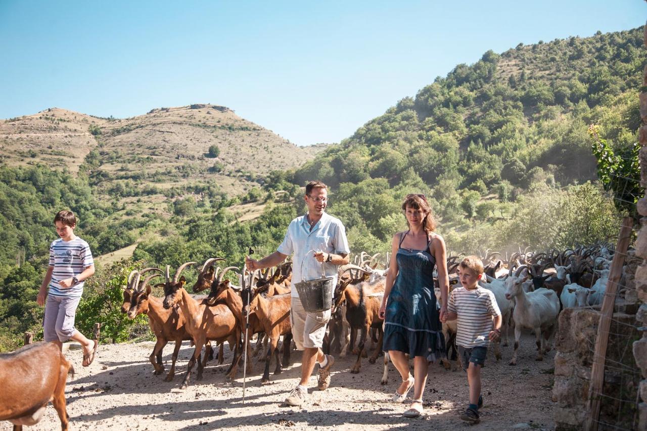 La Ferme Des Cevennes Hotel Florac Ngoại thất bức ảnh
