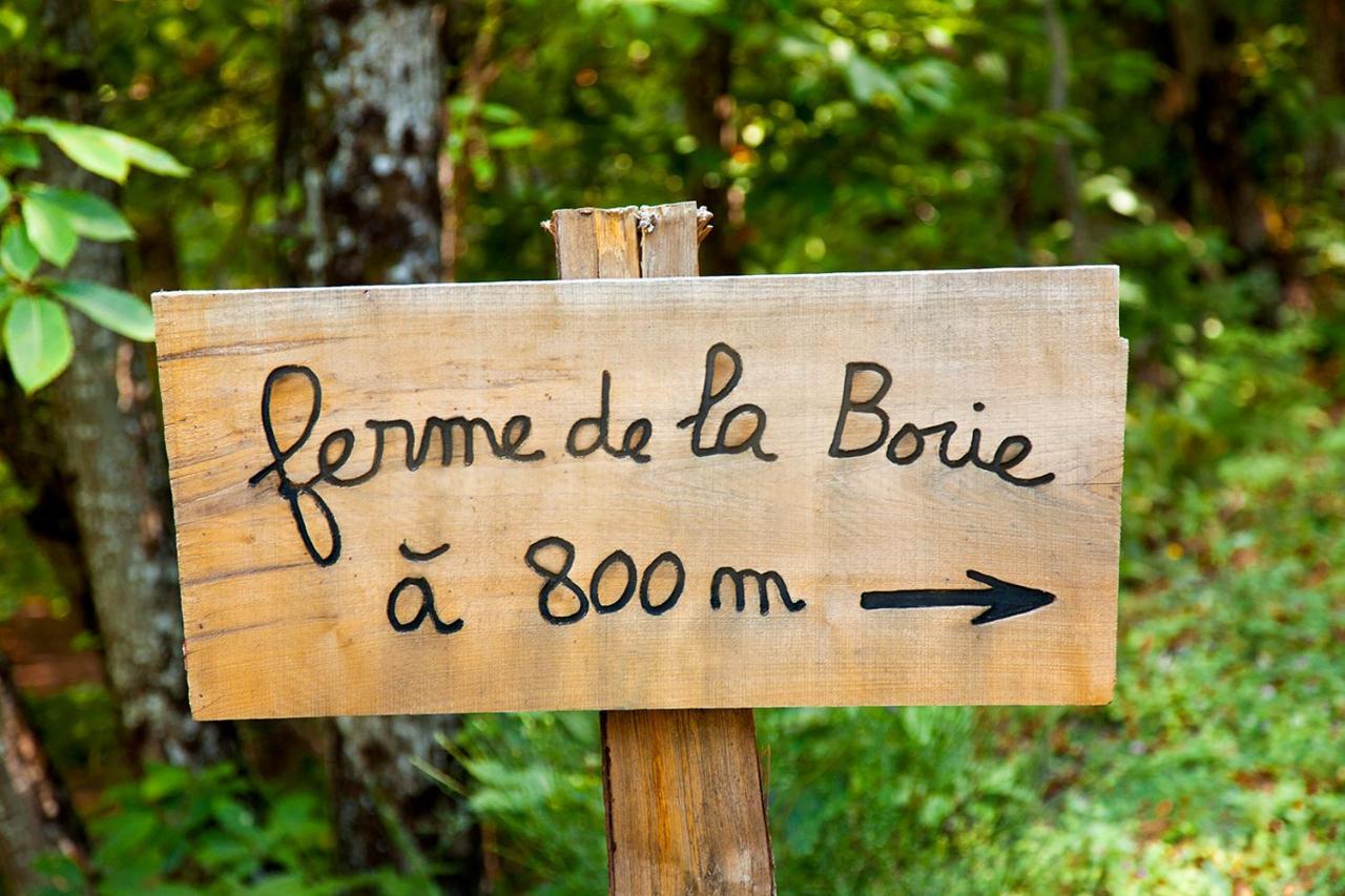 La Ferme Des Cevennes Hotel Florac Ngoại thất bức ảnh