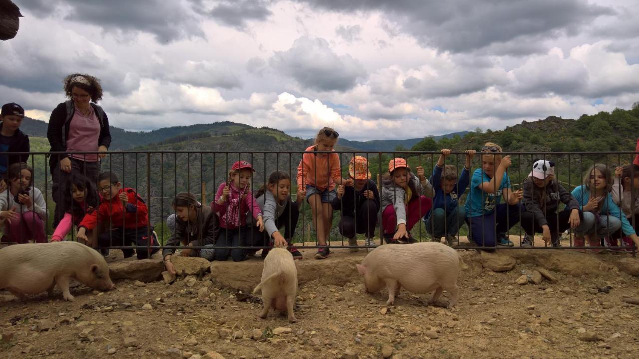 La Ferme Des Cevennes Hotel Florac Ngoại thất bức ảnh